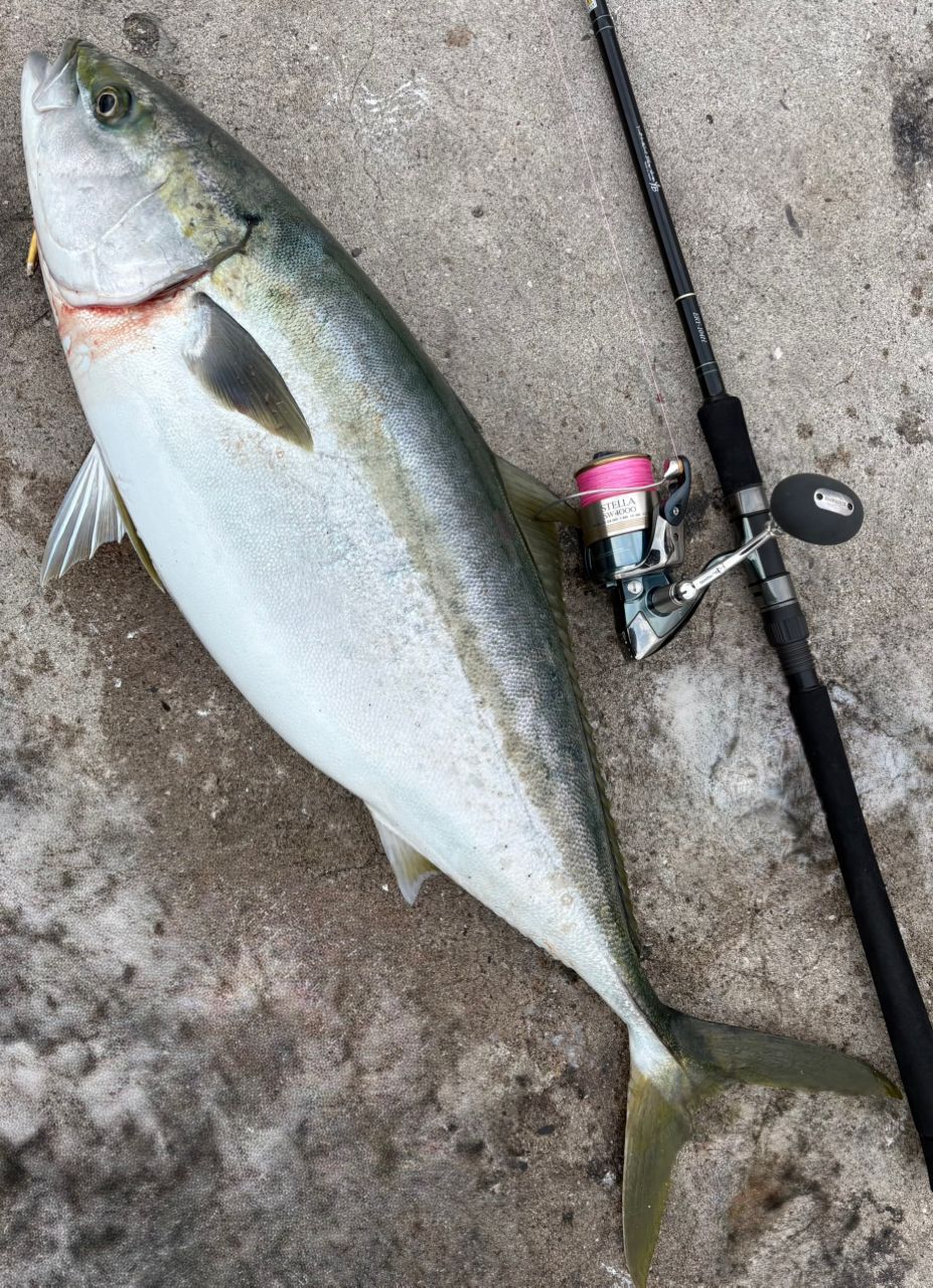 YAMAGA Blanks アーリー・フォーロック 104Hの最安値・インプレ・釣果