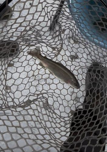 上浜つり堀センター