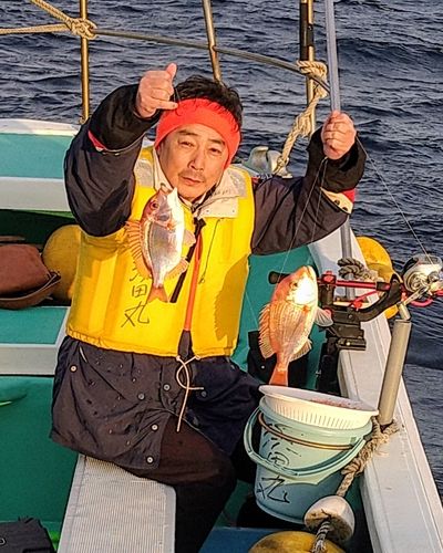 キダイの釣果