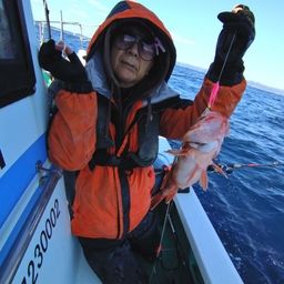 ウッカリカサゴ