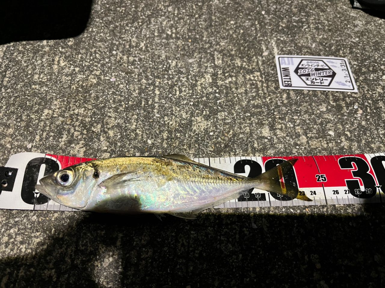 OLYMPIC 23コルト UX 23GCORUS-612L-HSの最安値・インプレ・釣果