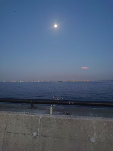 金沢水際線緑地（福浦岸壁）