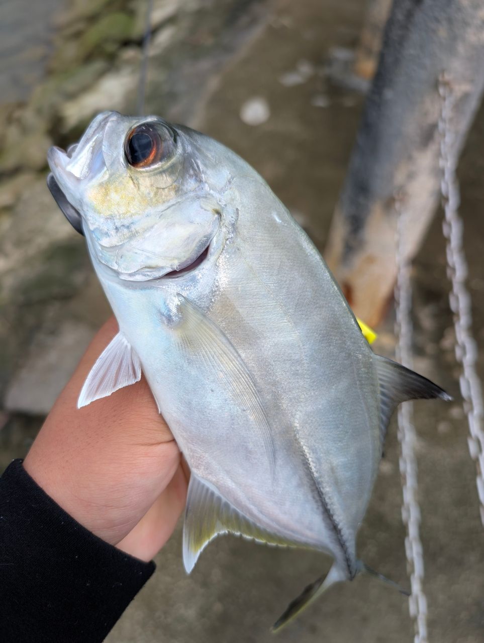 AbuGarcia ソルティースタイルメバル STMS-762ULT-KRの最安値