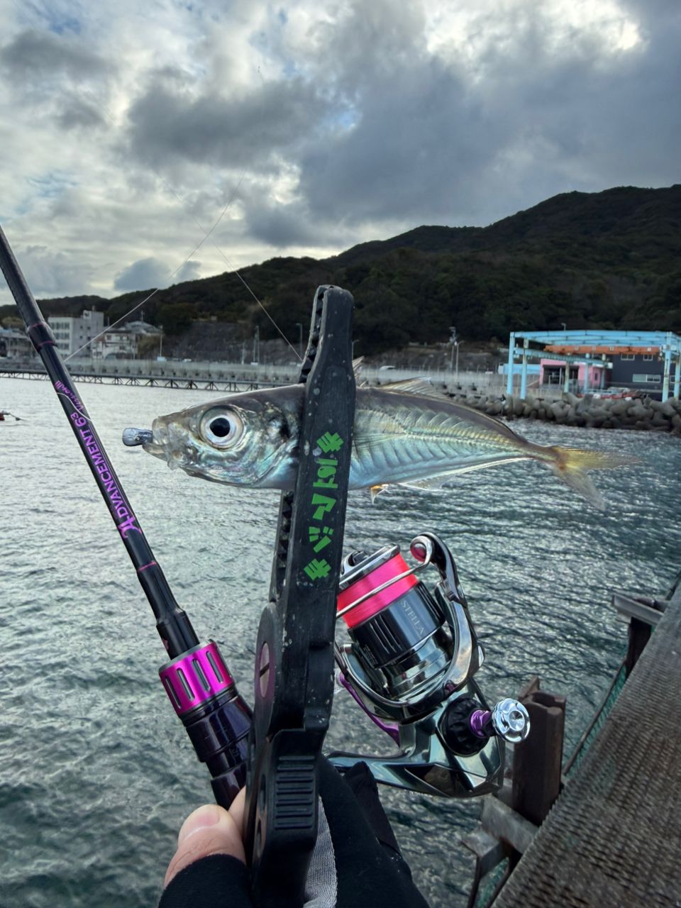 SHIMANO 22ステラ 1000SSPGの最安値・インプレ・釣果 | 本音の口コミが