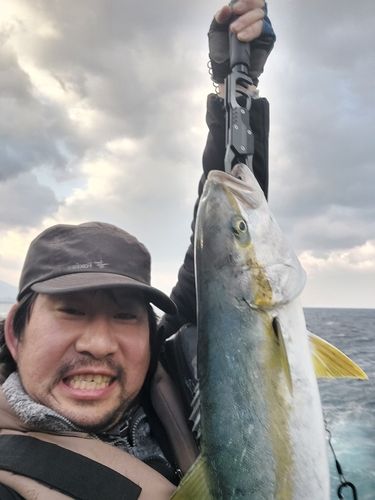 ヒラマサの釣果