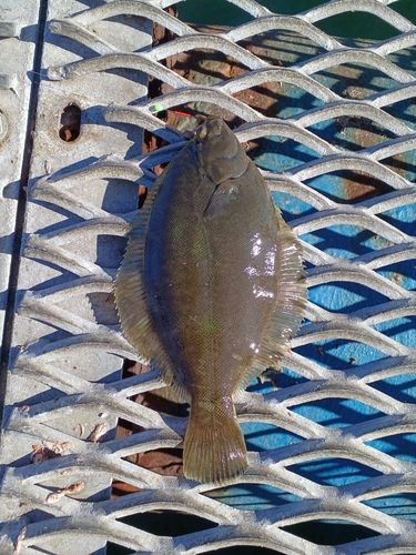 本牧海づり施設