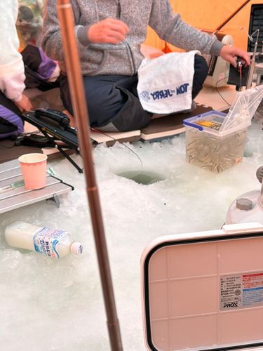 つがる市野池群