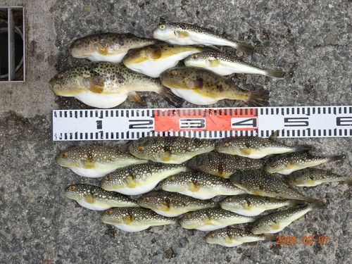 アジュール舞子