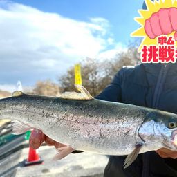 スチールヘッド