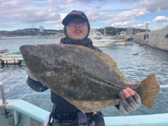 ヒラメの釣果