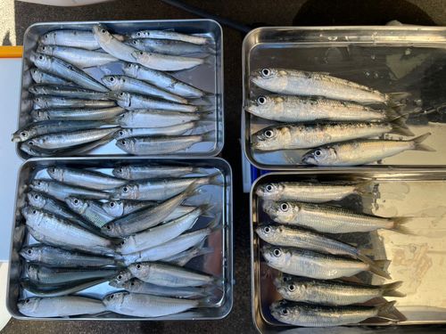 用宗広野海岸公園