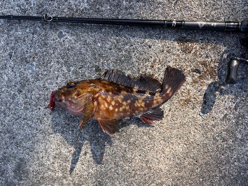 セントレア常滑港前島