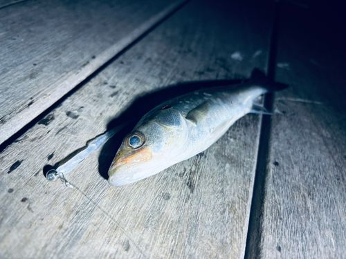 小名浜港アクアマリンふくしま周辺