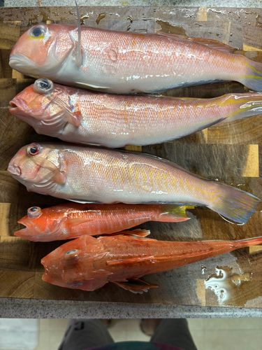 東京湾（アクアライン〜富津）