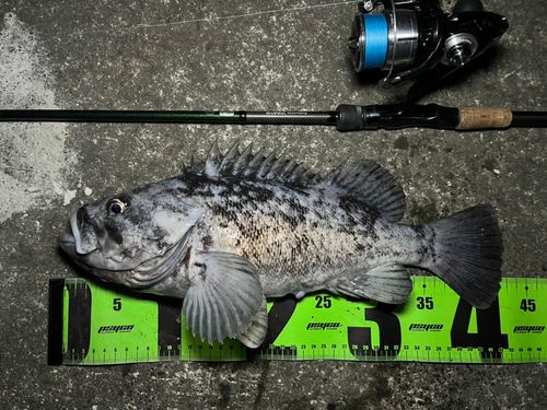 三陸海岸（青森）