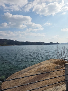クロメバルの釣果