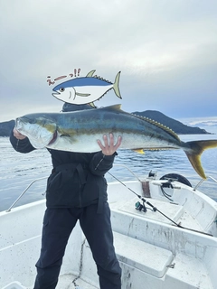 ヒラマサの釣果