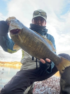 スモールマウスバスの釣果