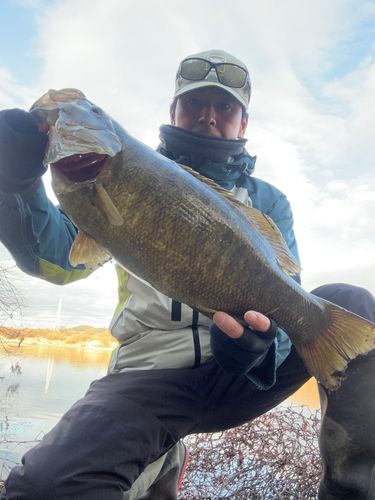 スモールマウスバスの釣果