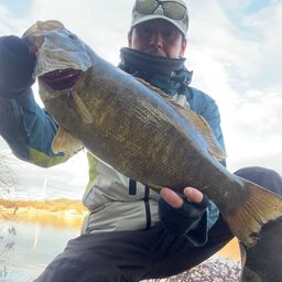 スモールマウスバス