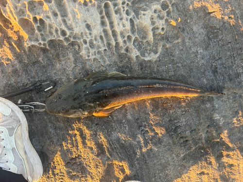 茅ヶ崎ヘッドランド