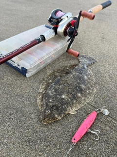 ヒラメの釣果