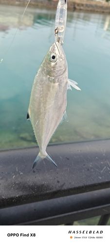 西原・与那原マリンパーク