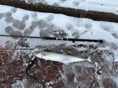 鞠山海遊パーク
