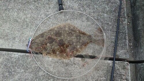 阿賀マリノポリス