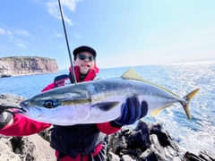 ヤズの釣果