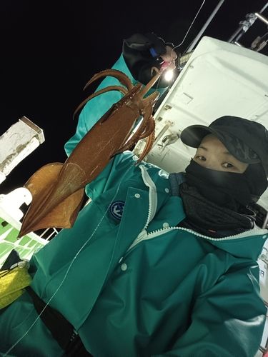 スルメイカの釣果