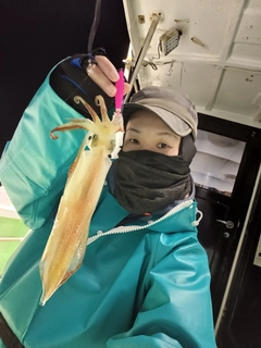 ケンサキイカの釣果