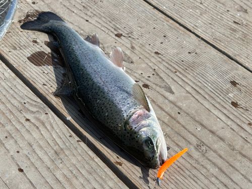家島 釣り堀 水宝