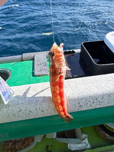 東京湾（アクアライン〜富津）