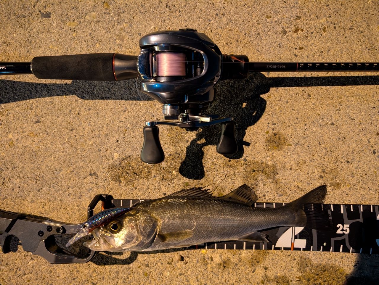 SHIMANO 20ゾディアス 164L-BFS/2の最安値・インプレ・釣果 | 本音の