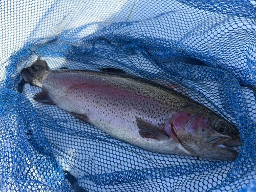 ユーランド清水川