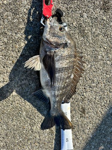 千葉港中央埠頭