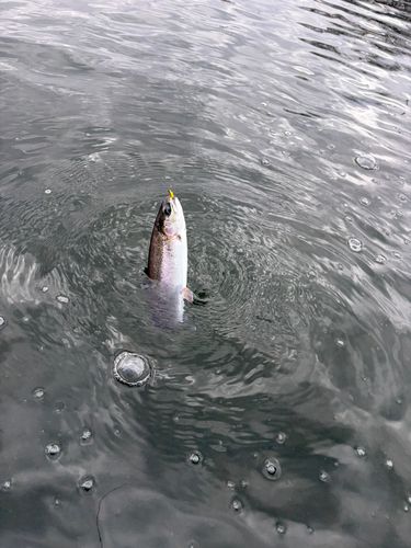 Oyama Water Park 遊水園