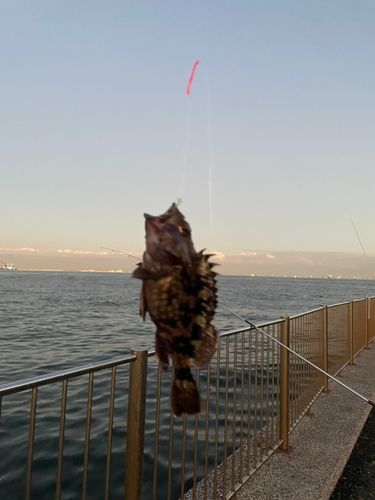 城南島海浜公園