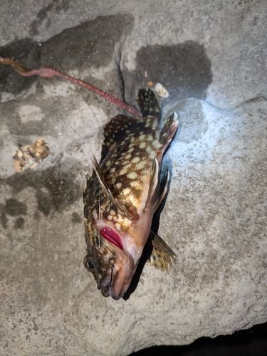 東京ゲートブリッジ付近