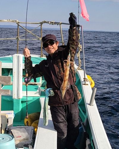 ヤリイカの釣果