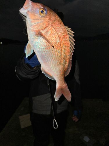 野見潮ばかり公園
