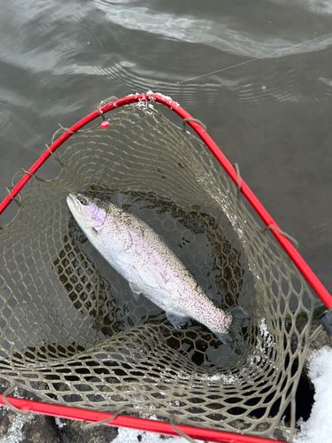 グリーンパーク不忘