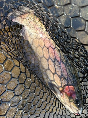 すそのフィッシングパーク