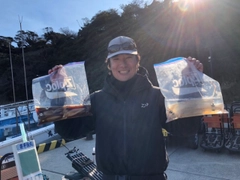 マルイカの釣果