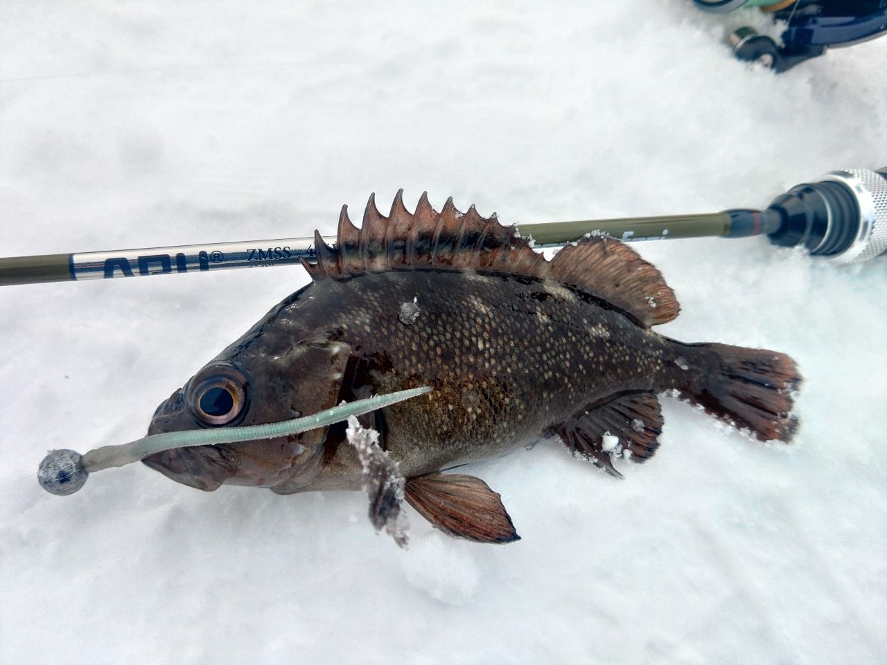 AbuGarcia ズームサファリ ZMSS-404ULの最安値・インプレ・釣果 | 本音