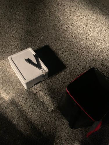 ヤマトカマスの釣果