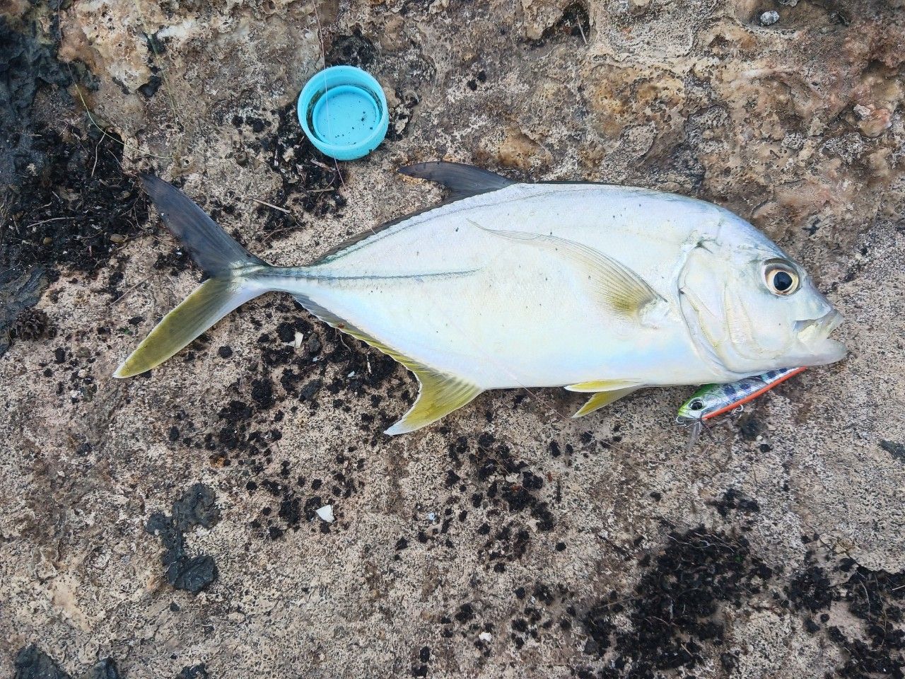 SHIMANO 21ソアレXR S68UL-Sの最安値・インプレ・釣果 | 本音の口コミ