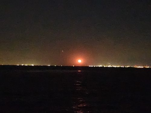 金沢水際線緑地（福浦岸壁）