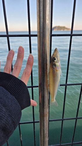 うみかぜ公園付近